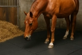 De voordelen van het gebruik van stalmatten voor je paard